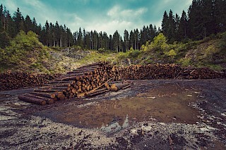 &copy; Ales Krivec