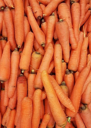 Stop Food Waste campaigns