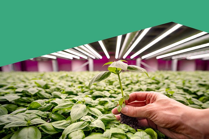 Future Crops